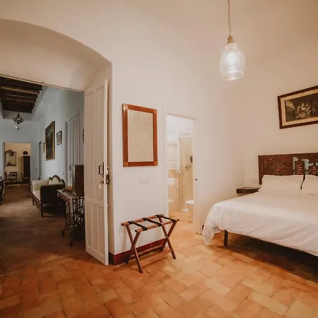 La Casa Del Pintor Pensión Carmona (Seville)